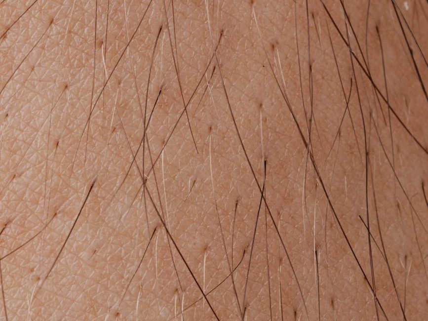 close up view of human skin with hair